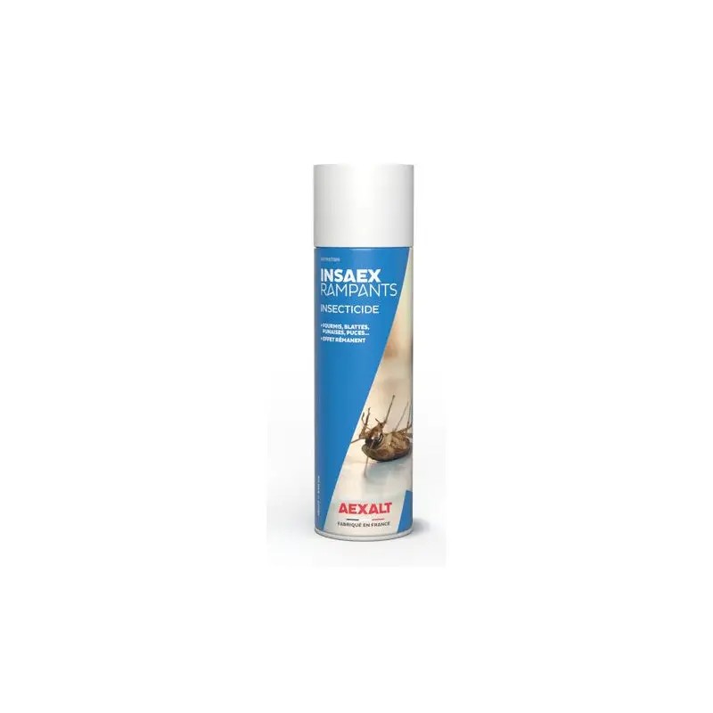 INSECTICIDE POUR RAMPANTS AEROSOL 650ML INSAE - ref. 2829095 | TP Agri