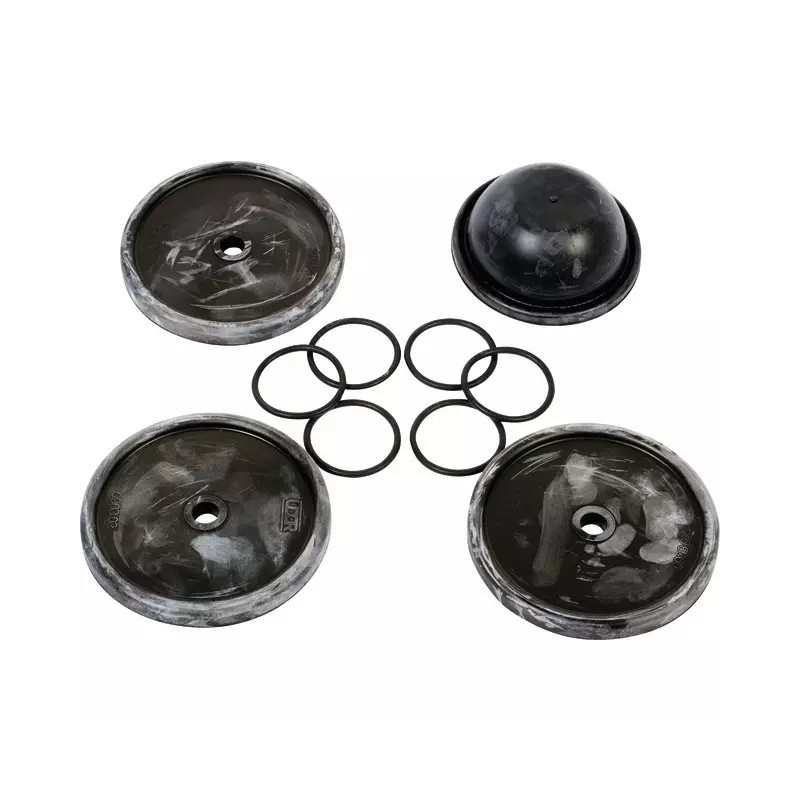 KIT MEMBRANES/JOINTS 589/ 512 (KIT589) (KIT512 - ref. 231314 | TP Agri