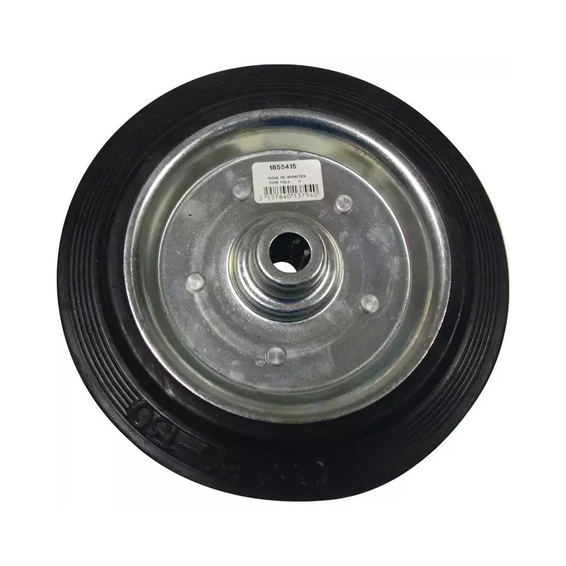 ROUE DE MANUTENTION 250X46 MM MOYEU TOLE ALES - ref. 1855415 | TP Agri