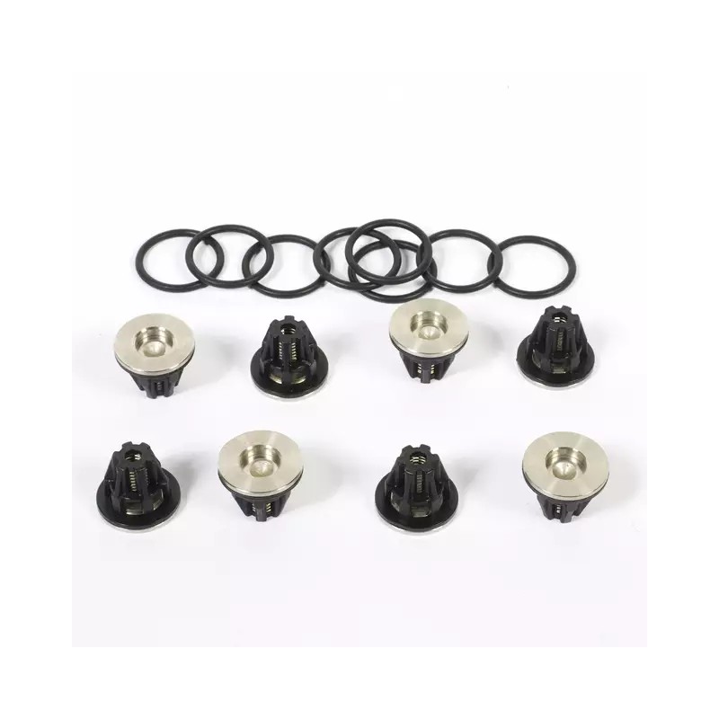KIT CLAPETS 509 (KIT509) - ref. 231344 | TP Agri
