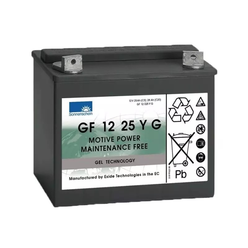 BATTERIE GEL GF12025YG 12V 28AH - ref. 31306002 | TP Agri