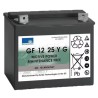 BATTERIE GEL GF12025YG 12V 28AH - ref. 31306002 | TP Agri