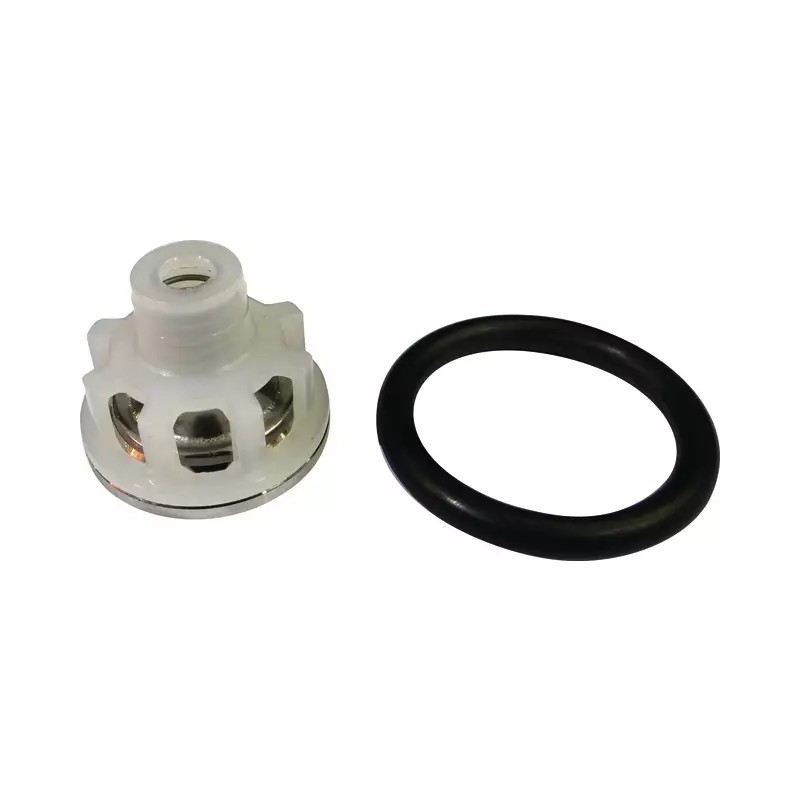 CLAPET BP60/20 ET 105/20 AVEC JOINT 1220/6 - ref. 30535229 | TP Agri