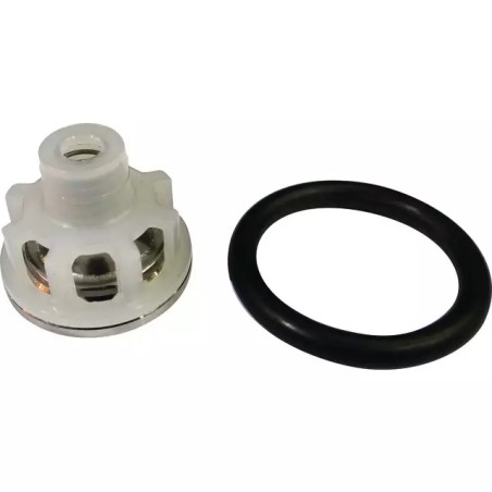 CLAPET BP60/20 ET 105/20 AVEC JOINT 1220/6 - ref. 30535229 | TP Agri