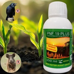 BIOSTIMULANT ENROBAGE DE SEMENCE PNF19 PLUS D - ref. 2829120 | TP Agri