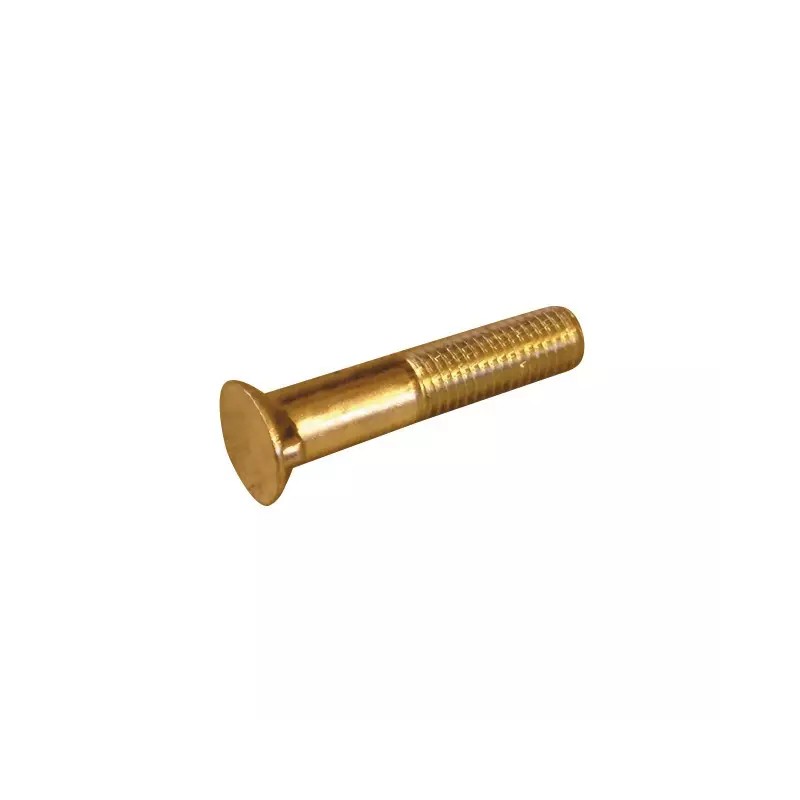 VIS TETE FRAISEE 2 ERGOTS 90 14X70X34 8011 - ref. HUA9941129 | TP Agri