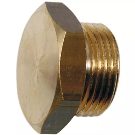 BOUCHON MALE EN LAITON 3/4"GAZ - ref. 251288 | TP Agri