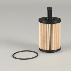 Filtre Donaldson P550819