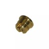 BUSE LECHLER JET PINCEAU ST 110 02 JAUNE LAI - ref. 30536169 | TP Agri