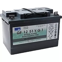 BATTERIE GEL GF12051YG1 12V 56AH - ref. 31306010 | TP Agri