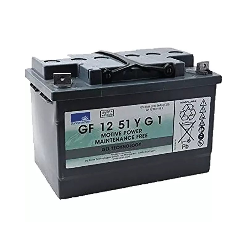 BATTERIE GEL GF12051YG1 12V 56AH - ref. 31306010 | TP Agri
