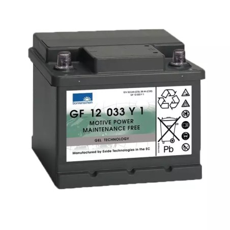 BATTERIE GEL GF12033Y1 12V 38AH - ref. 31306003 | TP Agri