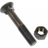 BOULON TETE FRAISEE COLLET CARRE 14X80 12.9 B - ref. 5915578 | TP Agri