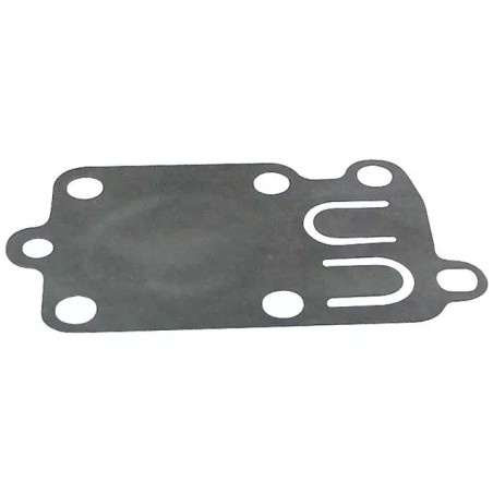 MEMBRANE POUR CARBURATEUR BRIGGS & STRATTON - ref. 20615022 | TP Agri