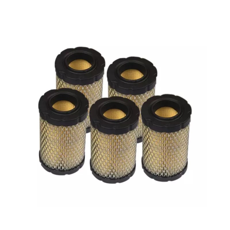 PACK ATELIER 5 FILTRES AIR 594201 B&STRATTON - ref. BS4243 | TP Agri