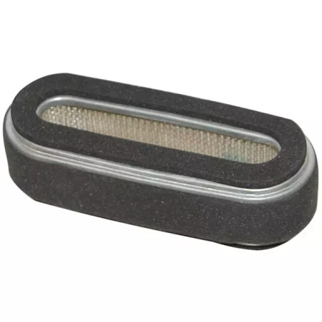 FILTRE A AIR POUR KUBOTA 5019/5021 5CV (126 - ref. 20721010 | TP Agri