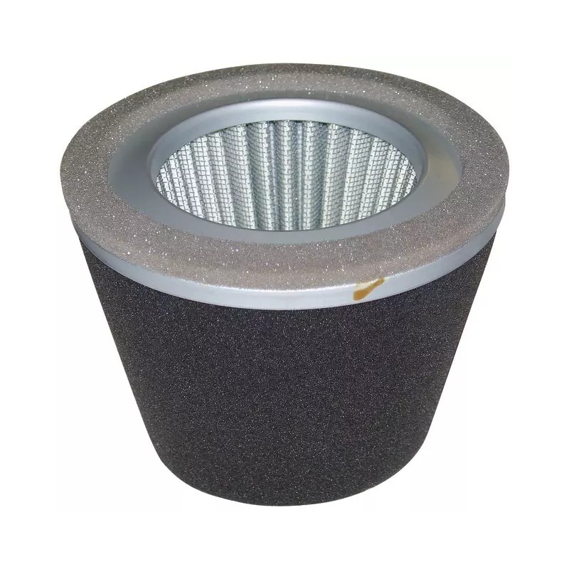 FILTRE A AIR ORIGINE ROBIN - ref. RB2343260707 | TP Agri