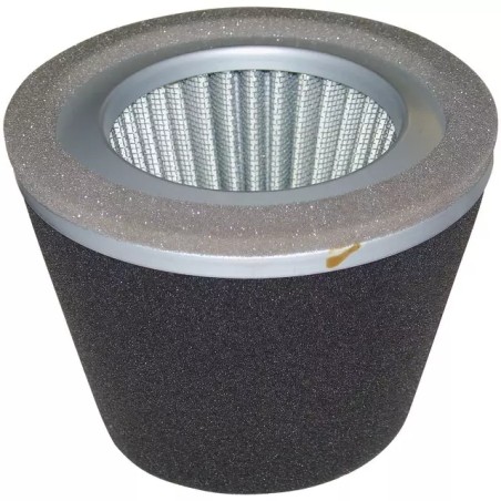 FILTRE A AIR ORIGINE ROBIN - ref. RB2343260707 | TP Agri