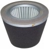 FILTRE A AIR ORIGINE ROBIN - ref. RB2343260707 | TP Agri