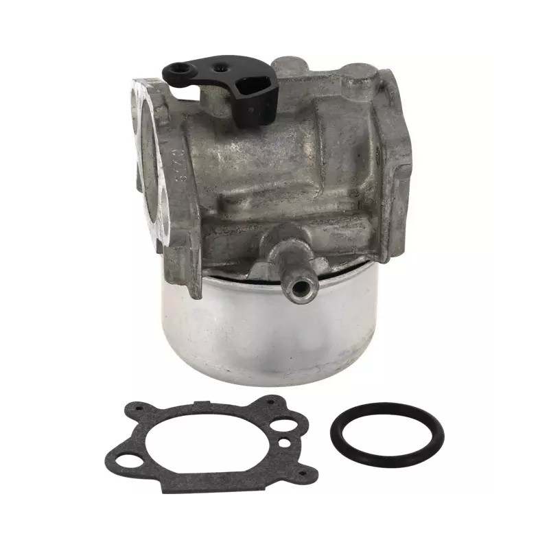 CARBURATEUR COMPATIBLE BRIGGS & STRATTON - ref. BS799868 | TP Agri