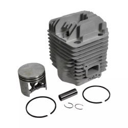 CYLINDREE POUR STIHL TS 460 (42210201206) - ref. 21406600 | TP Agri