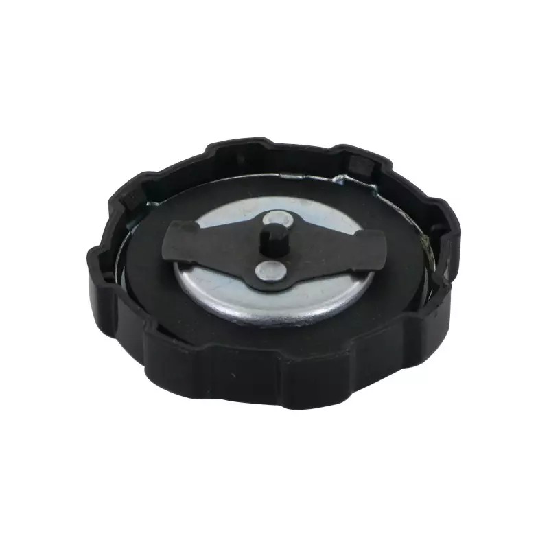 BOUCHON RESERVOIR ESSENCE ORIGINE BRIGGS & S - ref. BS794641 | TP Agri