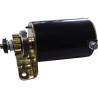 DEMARREUR ELECTRIQUE, PIGNON METAL 14 DENTS - ref. 20763030 | TP Agri