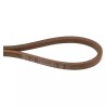COURROIE VARIATEUR/PONT MTD - ref. MTD75404208A | TP Agri