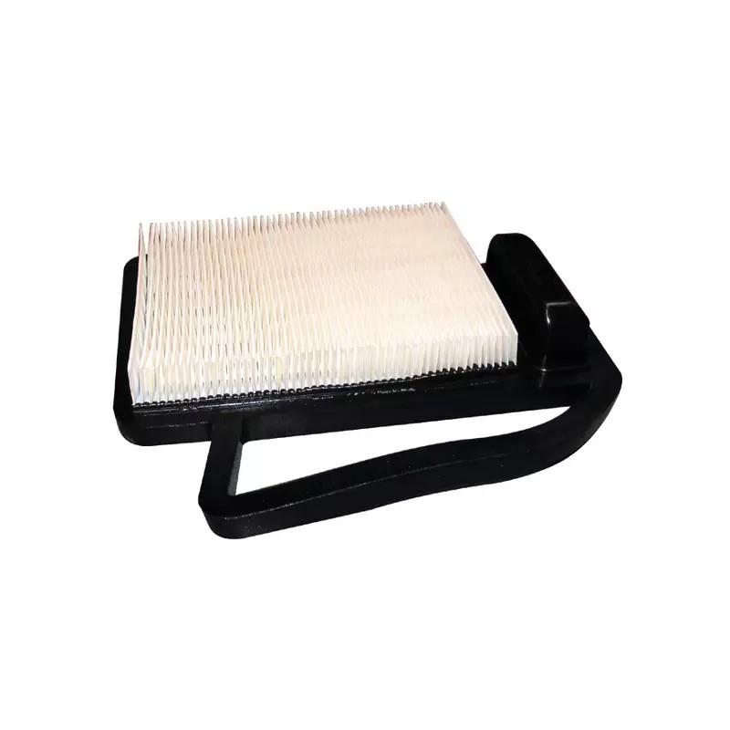 FILTRE A AIR POUR KOHLER SV470/600 (2008302 - ref. 20719070 | TP Agri