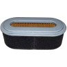 FILTRE A AIR WORMS - ref. RB2613260117 | TP Agri