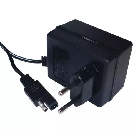 CHARGEUR BATTERIE CB03 ORIGINE GGP - ref. CG118204120/0 | TP Agri