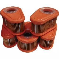 PACK ATELIER 5 X FILTRE AIR 792038 ORIGINE B&S - ref. BS4245 | TP Agri
