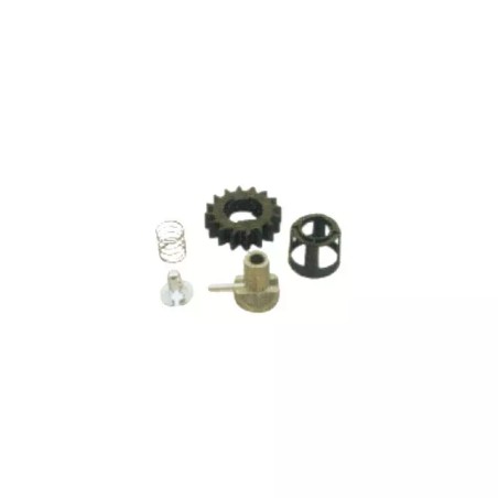 KIT PIGNON POUR DEMARREUR BRIGGS & STRATTON - ref. 20731048 | TP Agri