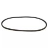 COURROIE POUR BERNARD MOTEUR TYPE BM4 (40800 - ref. 30890018 | TP Agri