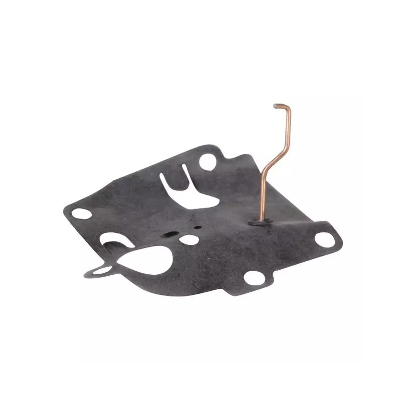 MEMBRANE ORIGINE BRIGGS & STRATTON - ref. BS391681 | TP Agri