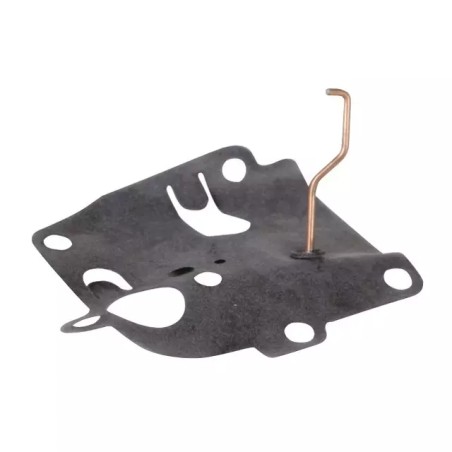 MEMBRANE ORIGINE BRIGGS & STRATTON - ref. BS391681 | TP Agri