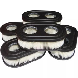 PACK ATELIER 5 X FILTRE AIR 593260 ORIGINE B&S - ref. BS4247 | TP Agri
