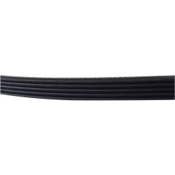 COURROIE POLY-V TYPE 813 PJ5 POUR BETONNIERE - ref. 30882080 | TP Agri