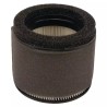 FILTRE A AIR KAWASAKI - ref. KW110290032 | TP Agri
