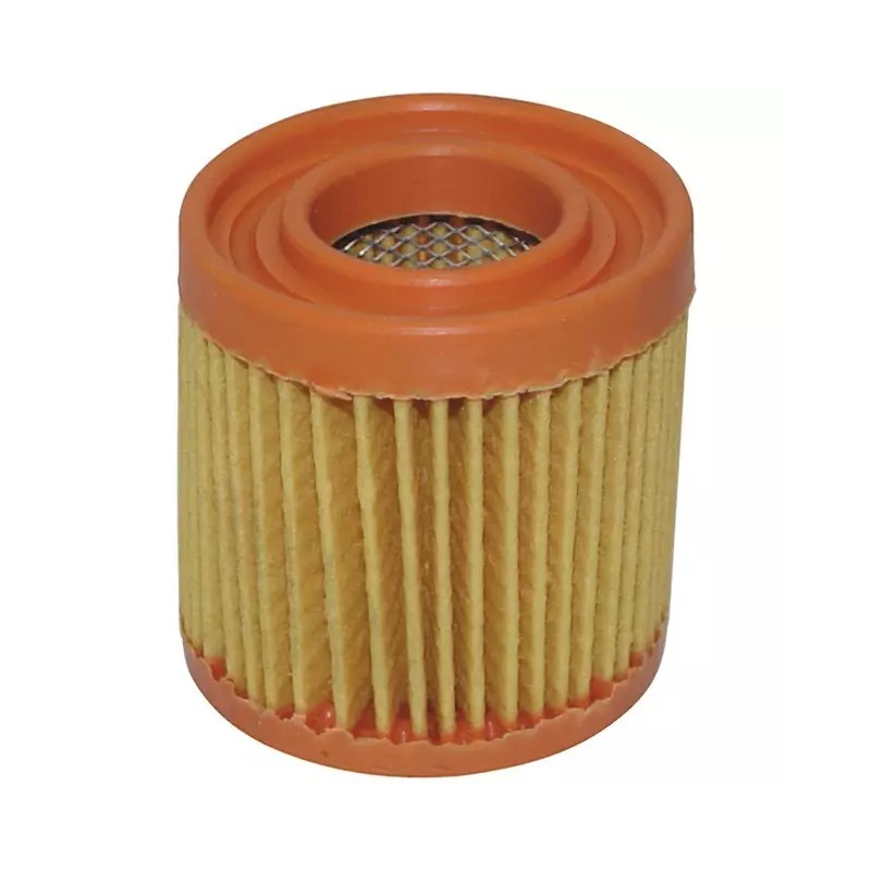 FILTRE A AIR POUR TECUMSEH BVL/BH (23410027) - ref. 20709064 | TP Agri