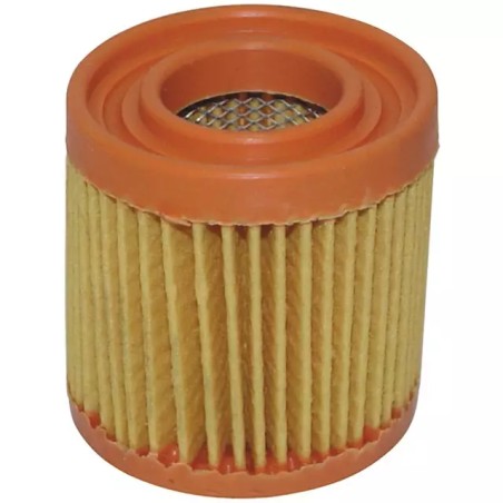 FILTRE A AIR POUR TECUMSEH BVL/BH (23410027) - ref. 20709064 | TP Agri