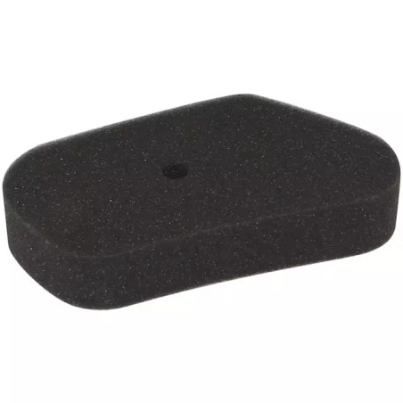 FILTRE A AIR POUR HONDA HR173/GV100 (17211ZG - ref. 20715040 | TP Agri