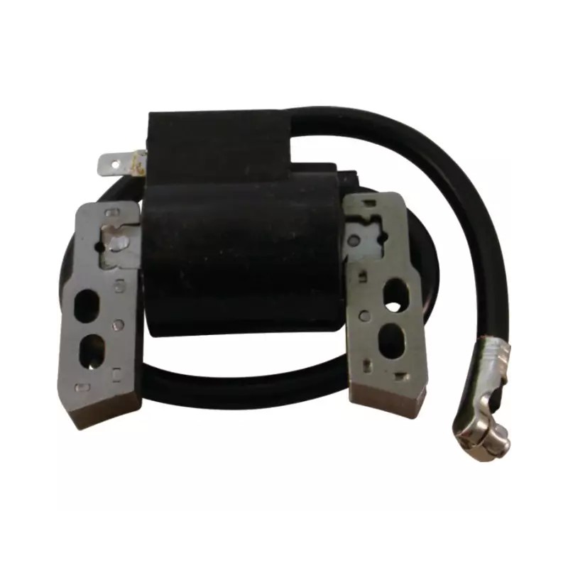 BOBINE ALLUMAGE POUR BRIGGS & STRATTON VANGU - ref. 20542048 | TP Agri
