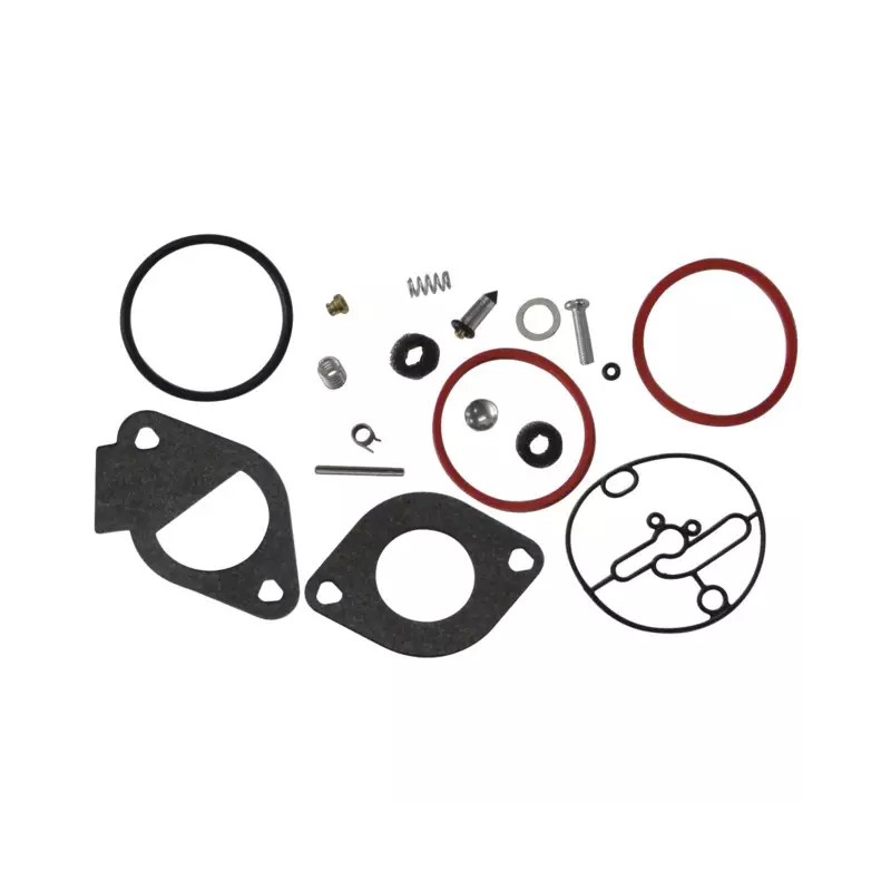 KIT CARBURATEUR BRIGGS & STRATTON - ref. BS796184 | TP Agri