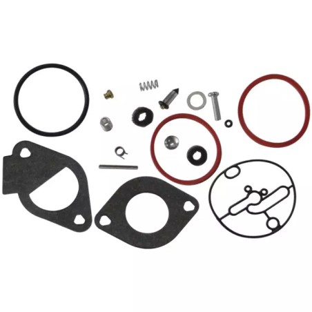 KIT CARBURATEUR BRIGGS & STRATTON - ref. BS796184 | TP Agri