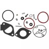 KIT CARBURATEUR BRIGGS & STRATTON - ref. BS796184 | TP Agri