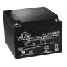 BATTERIE AGM 12V 24AH LP12-24 LEOCH - ref. 222493 | TP Agri