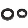 JOINT SPI POUR BRIGGS AND STRATTON 10/11/16C - ref. 20784212 | TP Agri