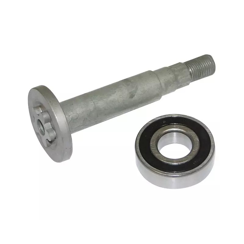ARBRE ETOILE 6 DENTS + ROULEMENTS POUR AYP R - ref. 20807131 | TP Agri