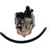 CARBURATEUR POUR HONDA GX270 (16100-ZH0-W21) - ref. 20630113 | TP Agri